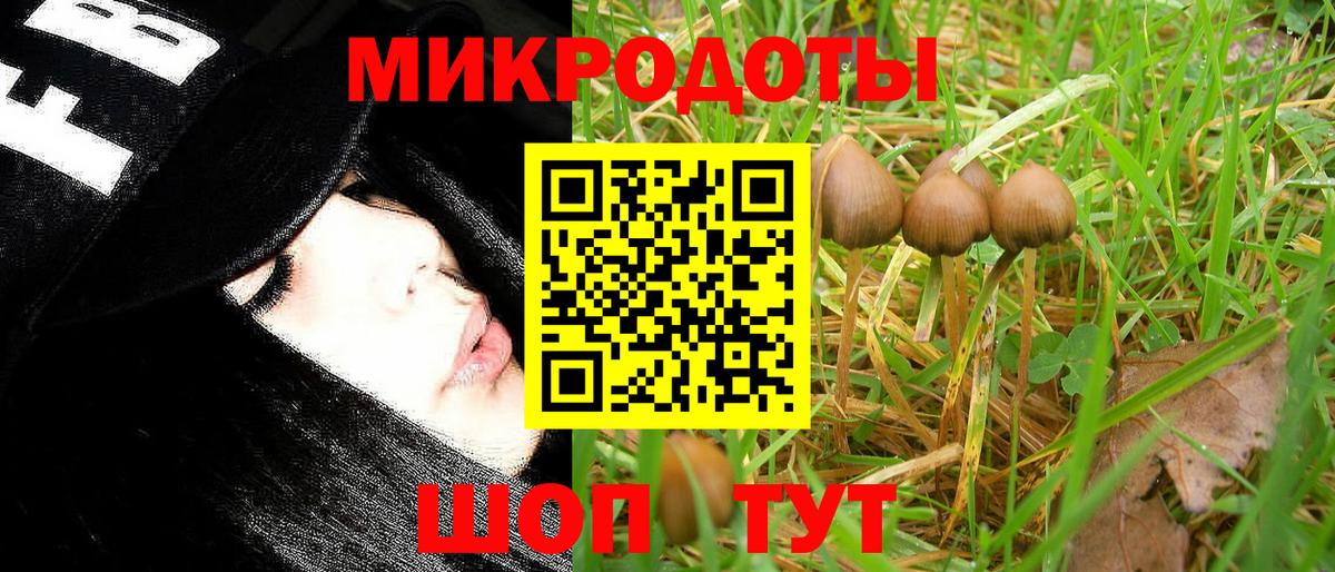 Псилоцибиновые грибы ЛСД  Вход с VPN  Юрга 